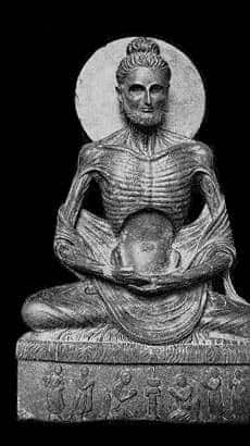 Buddha po askezi.