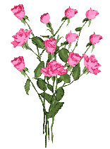 Růže.